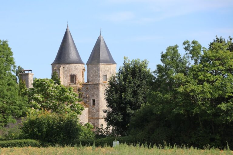 Château de Courcelles-le-Roi: A Former Fortified Castle in France