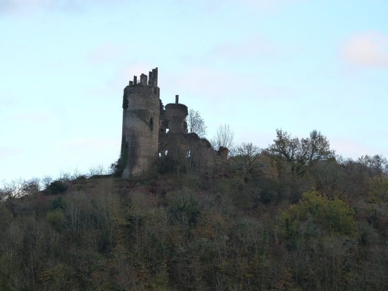 Roumégous Castle: A Medieval Lordly Residence in France