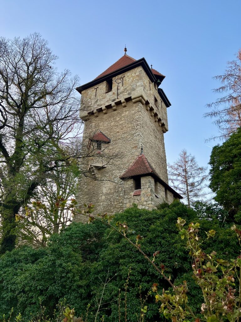 Neugattersleben Castle: A Medieval Fortress Transformed into an Alvensleben Residence
