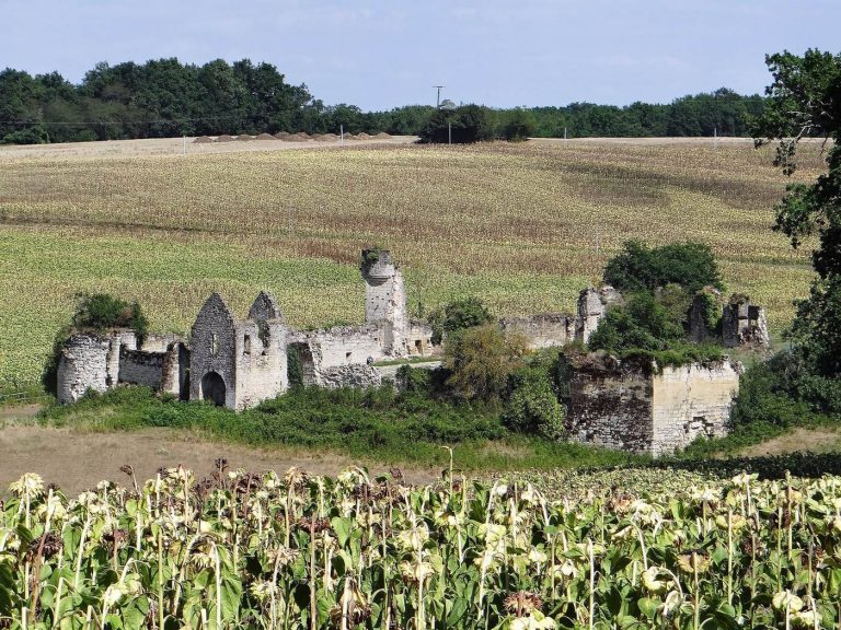 Château de Birac: A Medieval Fortified Château in France