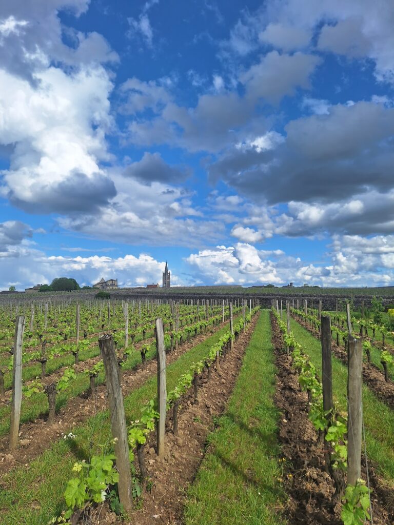 Château Canon: A Historic Saint-Émilion Wine Estate 2 Château Canon