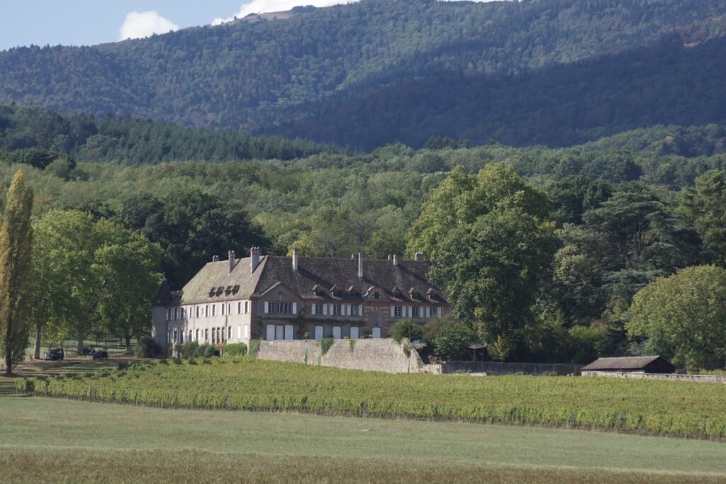 Château d'Ollwiller: A Historic Château and Wine Estate in France 2 Château d'Ollwiller