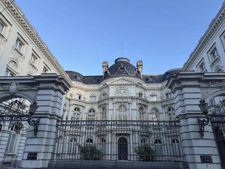 Palace of the Count of Flanders: A Royal Residence and Public Institution in Brussels