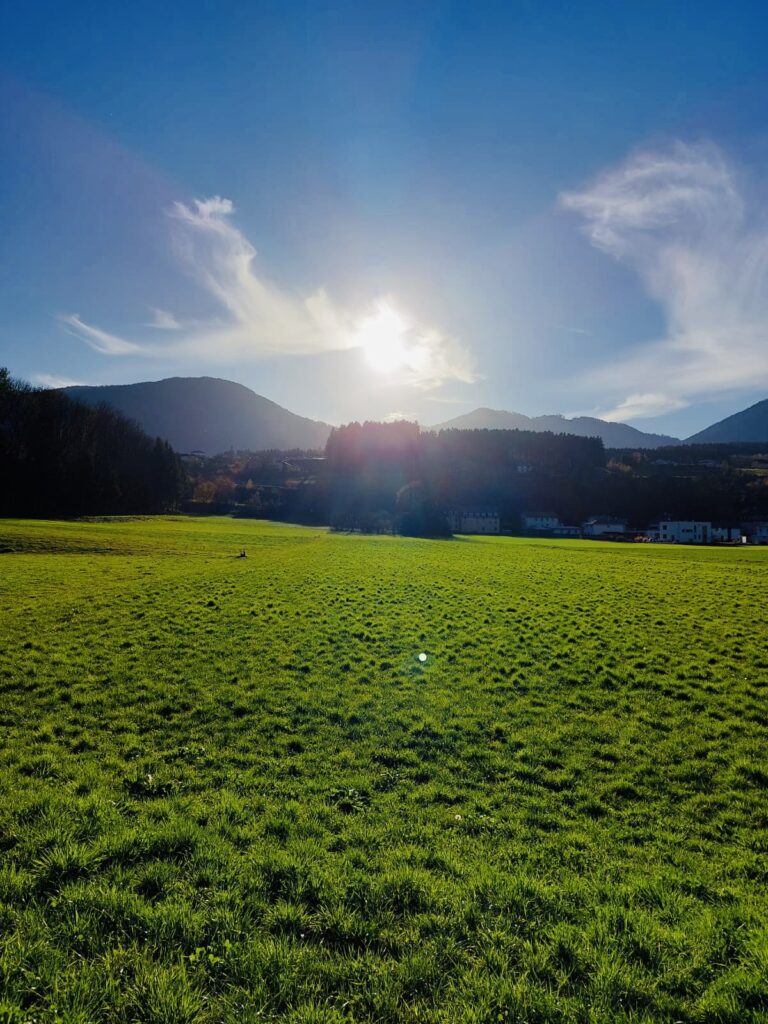 Schloss Paternion: A Historic Castle and Estate Administration in Austria