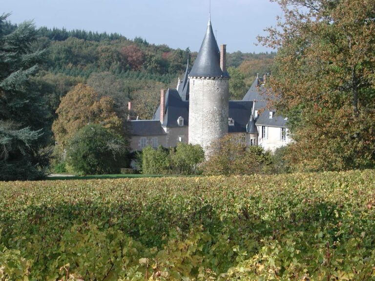 Château de Tracy: A Fortified Residence in France