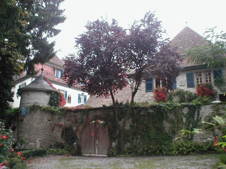 Schloss Oedheim: A Hohenstaufen-Period Castle and Capler Residence
