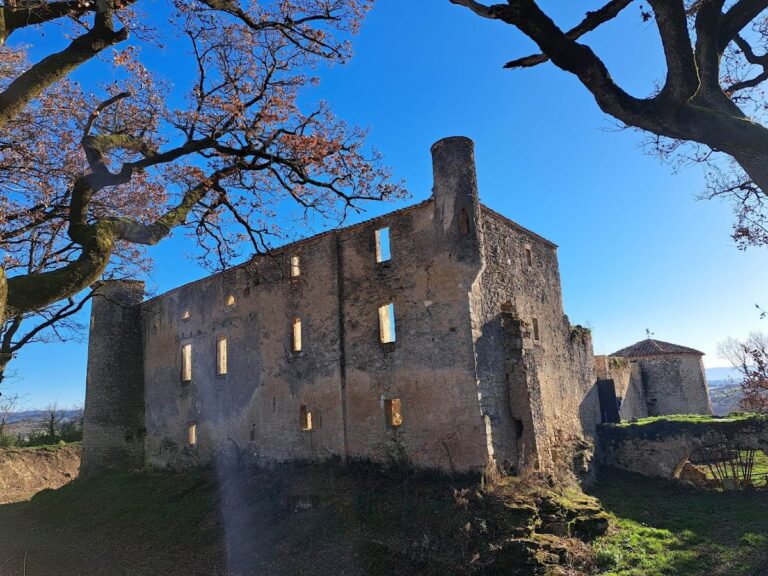 Montfa Castle: A Medieval Fortified Castle in France