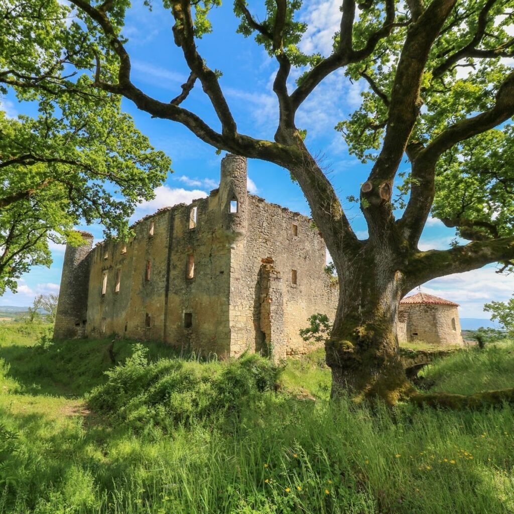 Montfa Castle: A Medieval Fortified Castle in France 2 château de Montfa