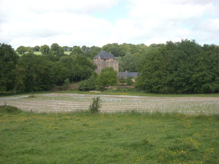 Château de La Boissière: A Medieval Fortified Château in France