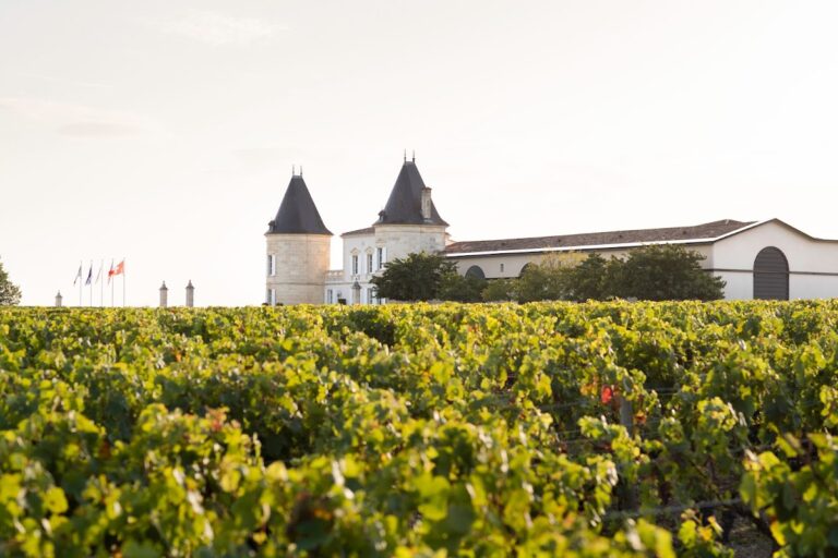 Château Lilian Ladouys: A Historic Wine Estate in Saint-Estèphe, France