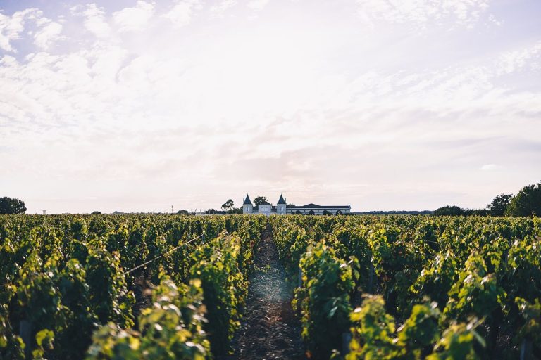 Château Lilian Ladouys: A Historic Wine Estate in Saint-Estèphe, France