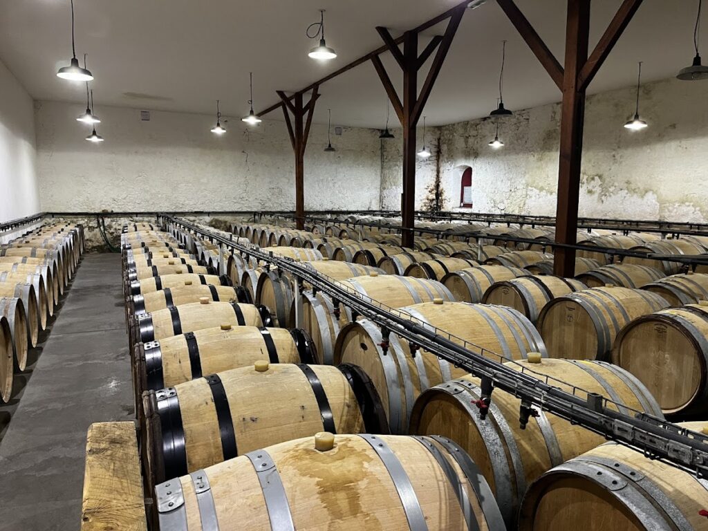 Château Suduiraut: A Sauternes Premier Cru Classé Wine Estate in France 1 Château Suduiraut