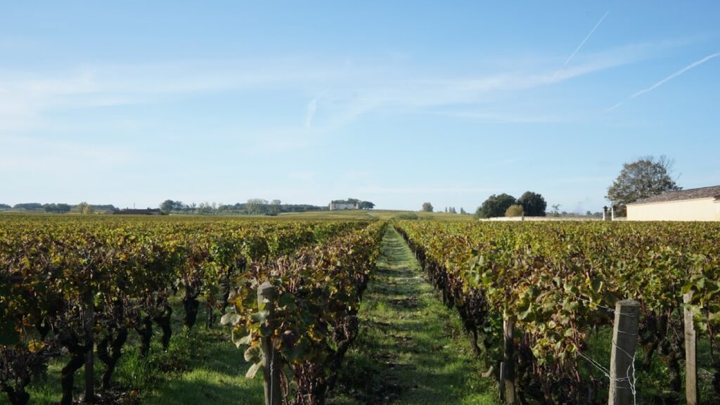 Château Suduiraut: A Sauternes Premier Cru Classé Wine Estate in France 3 Château Suduiraut