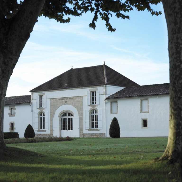 Château La Tour Blanche: A Sauternes Wine Estate in France