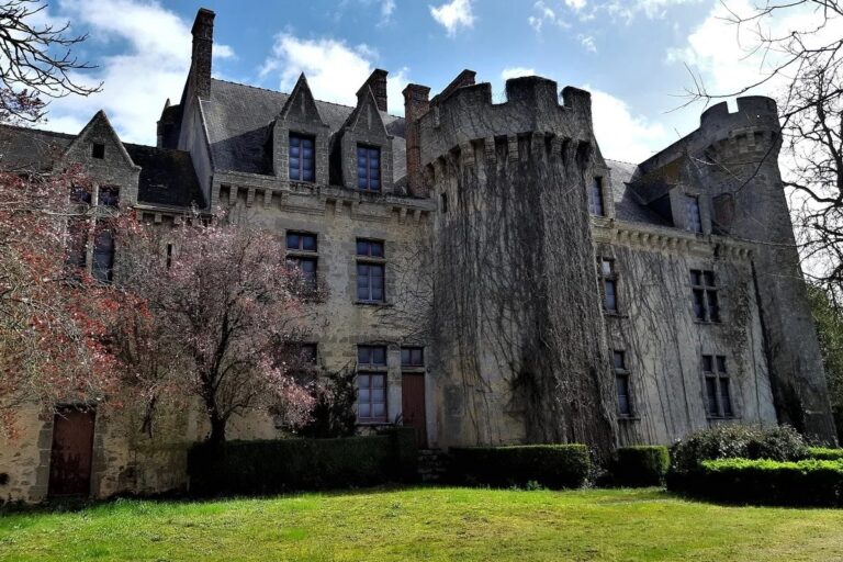 Château de Tigné: A Medieval Castle and Wine Estate in France