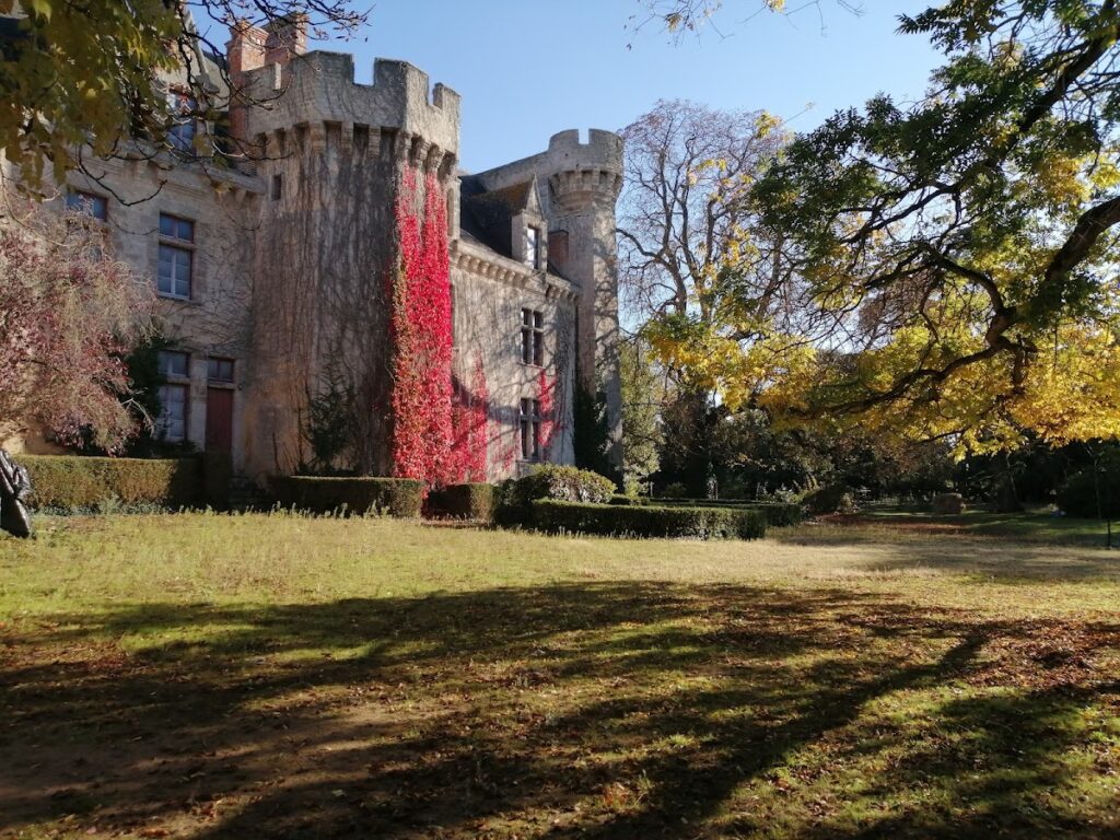 Château de Tigné: A Medieval Castle and Wine Estate in France 2 château de Tigné