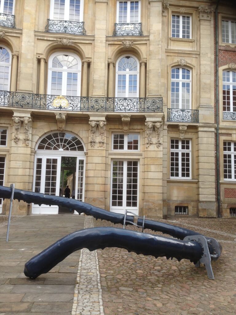 Erbdrostenhof: A Westphalian Baroque Aristocratic Palace in Münster 3 Erbdrostenhof