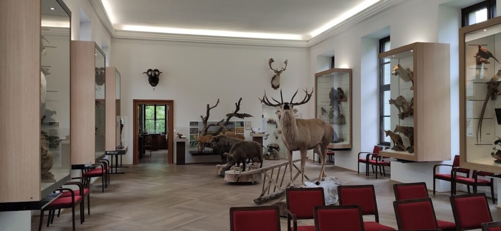 Schloss Hohenbrunn: A Baroque Hunting Lodge of St. Florian Abbey in Austria 2 Schloss Hohenbrunn