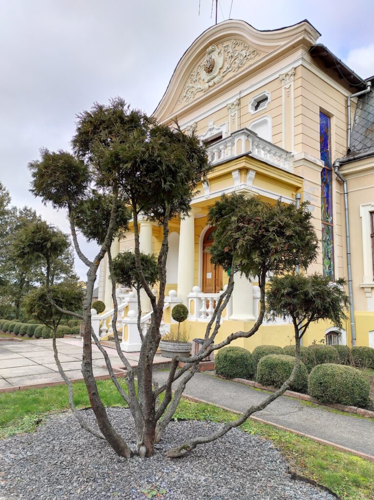 Palace of the Counts Tyszkiewicz: A Neoclassical Residence in Brody, Ukraine 5 Палац Тишкевичів у Старих Бродах