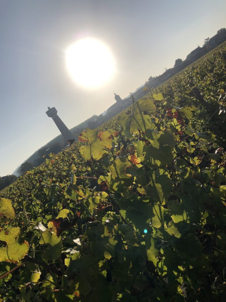 Château Nairac: A Barsac Wine Estate and Historic Manor
