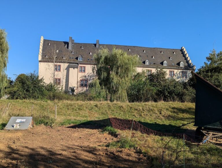 Schloss Bingenheim: A Castle Complex in Hesse, Germany