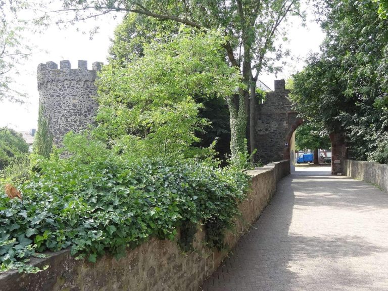 Schloss Bingenheim: A Castle Complex in Hesse, Germany
