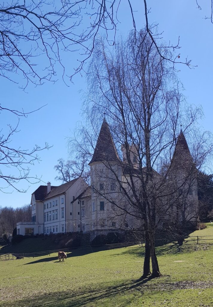 Schloss Oberthal: A Historic Castle Estate in Austria 2 Schloss Oberthal