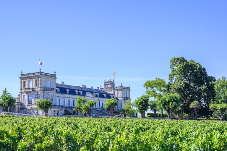 Château Ducru-Beaucaillou: A Historic Bordeaux Wine Estate