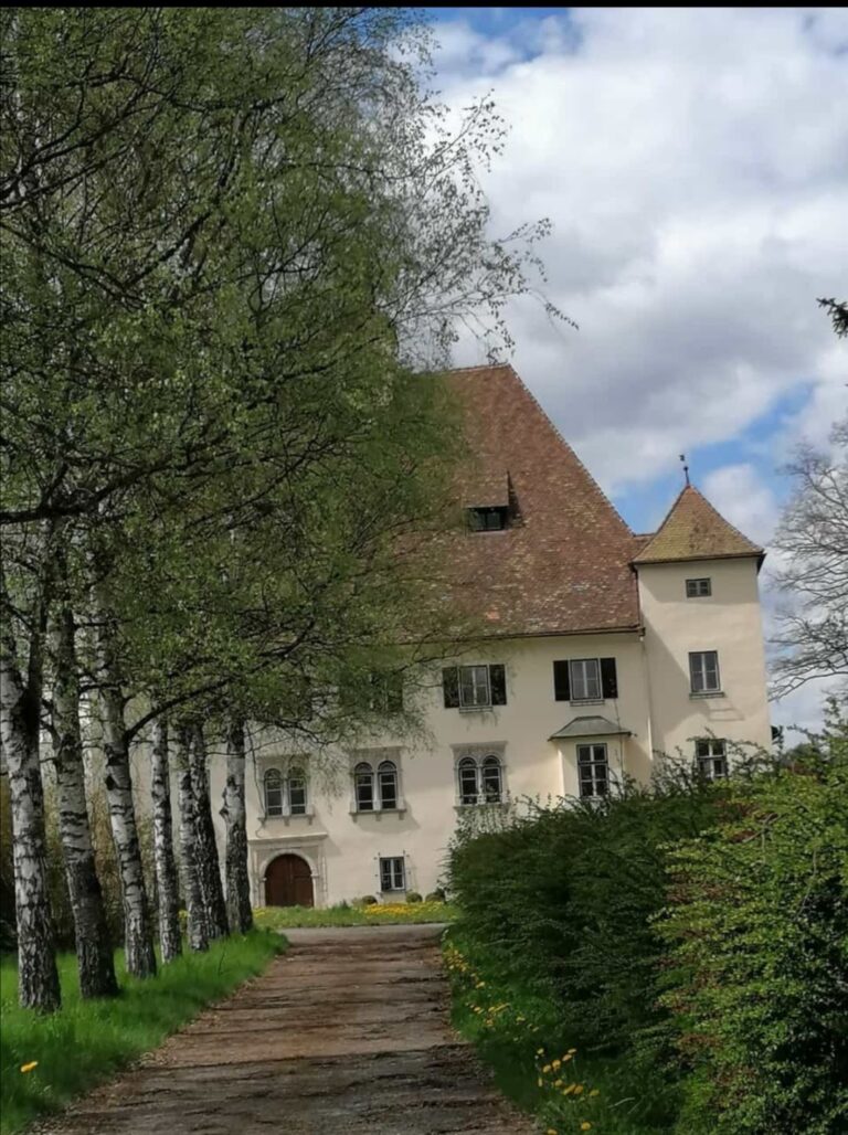Schloss Wiesenau: Late 16th-Century Manor and Local Cultural-Scientific Centre