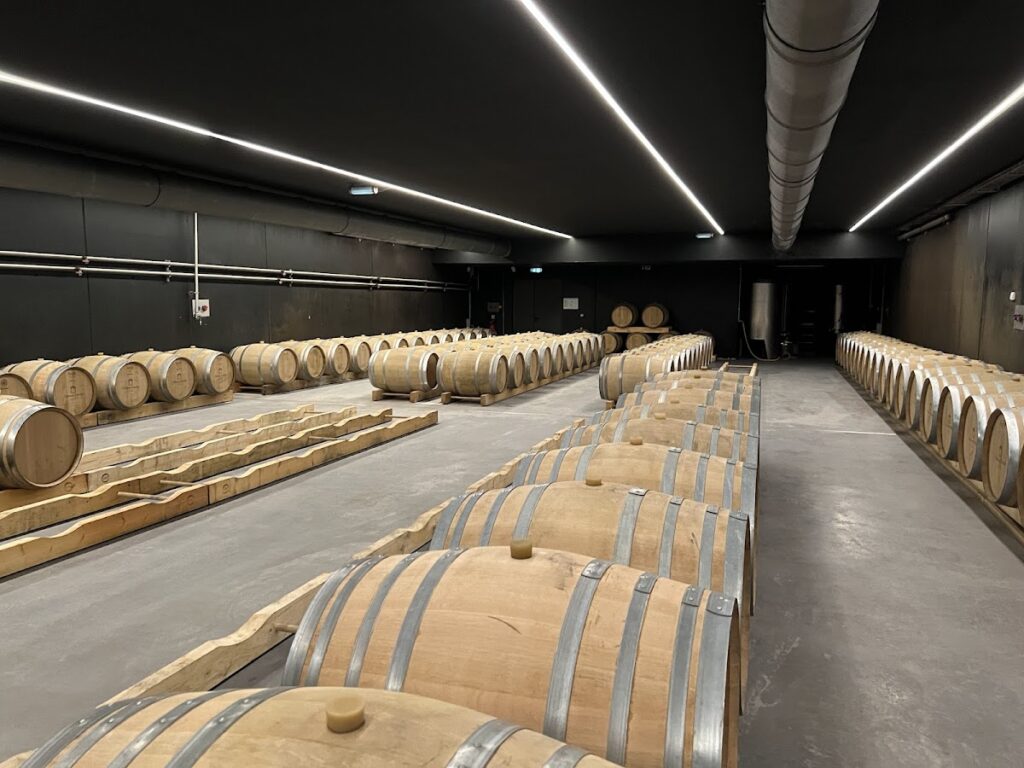 Château d'Arche: A Historic Sauternes Wine Estate 5 Château d'Arche