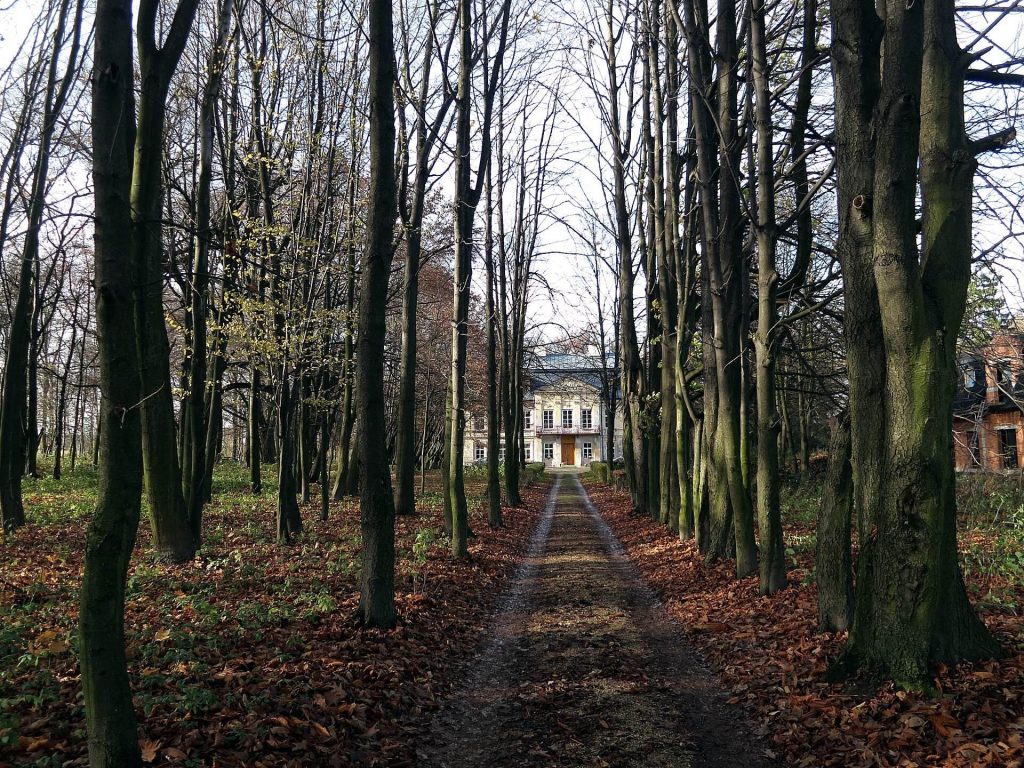 Palace in Nakło