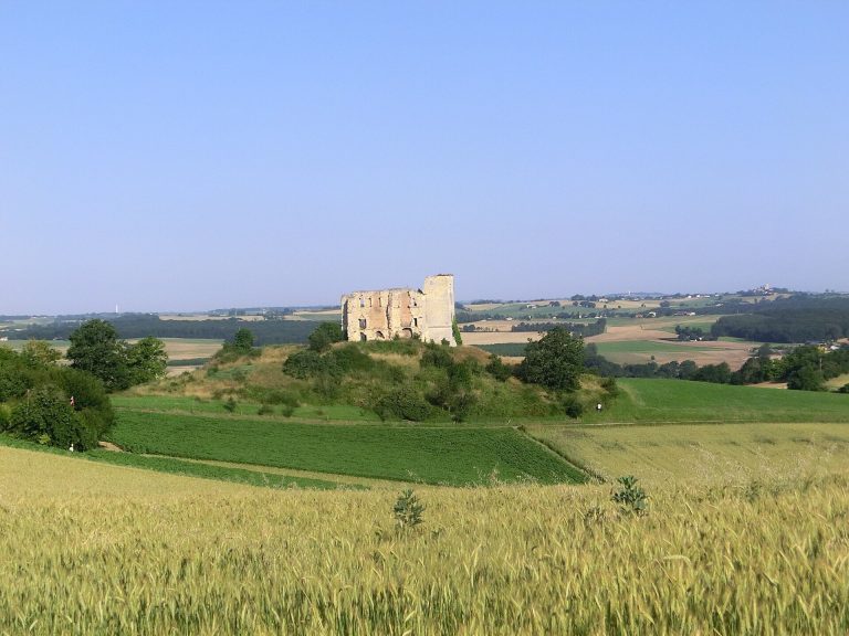 Gachepouy Castle: A Ruined Medieval Residence in France