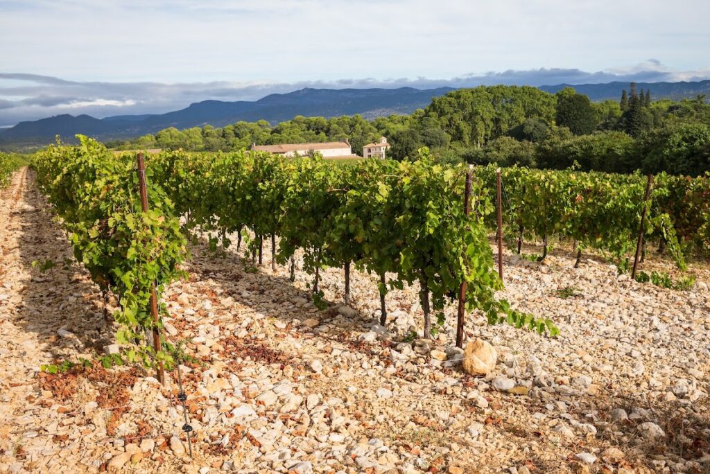 Capion Castle: A Historic Wine Estate in France 4 Capion Castle