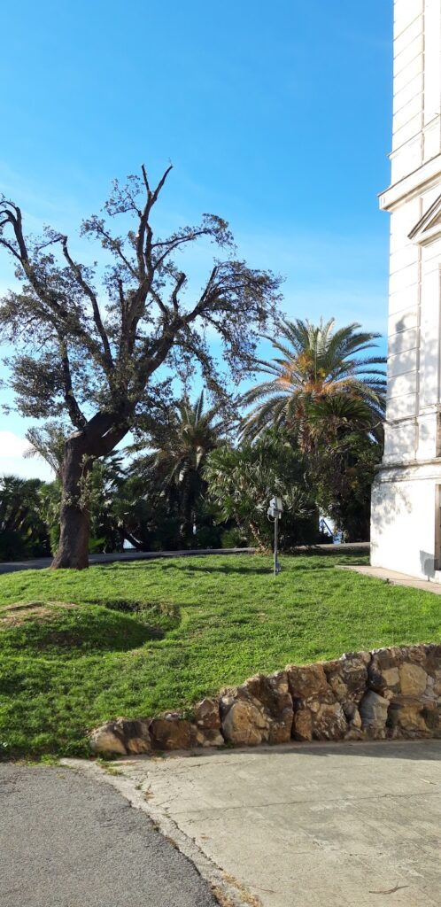 Villa Croce Museum of Contemporary Art: A Neoclassical Villa and Art Museum in Genoa 5 Villa Croce museum of Contemporary Art