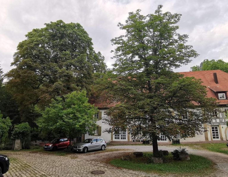 Schloss Hochberg: From Medieval Castle to Renaissance Palace in Germany