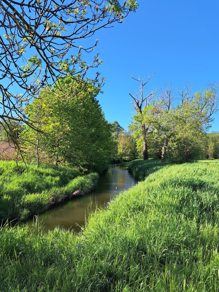 Schloss Niedergebra