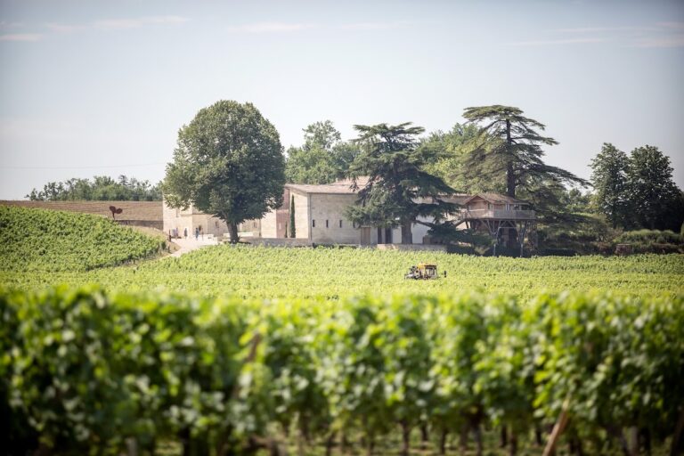 Château Franc Mayne: A Saint-Émilion Grand Cru Classé Wine Estate