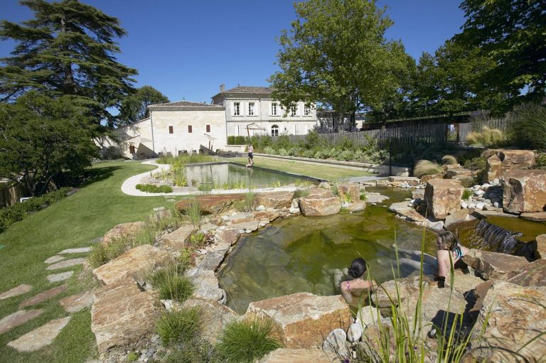 Château Franc Mayne: A Saint-Émilion Grand Cru Classé Wine Estate
