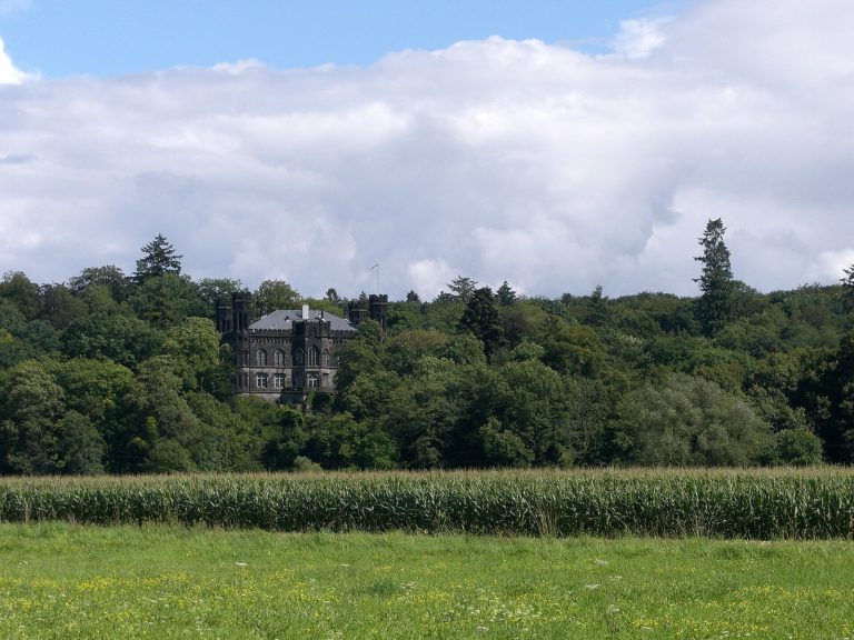 Friedelhausen Castle: A Historic Estate Complex in Germany