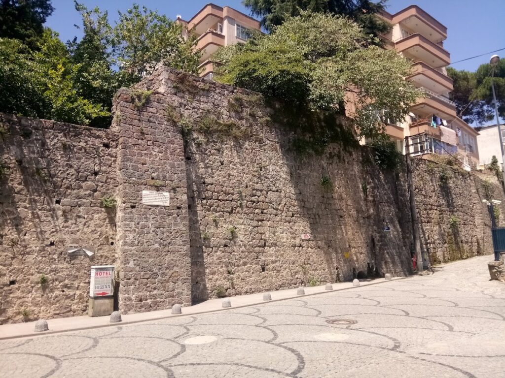 Süleyman Paşa Sarayı