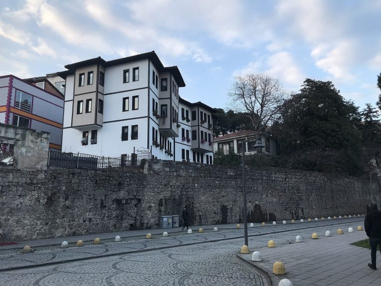 Süleyman Paşa Sarayı: An Ottoman Palace Complex in Türkiye