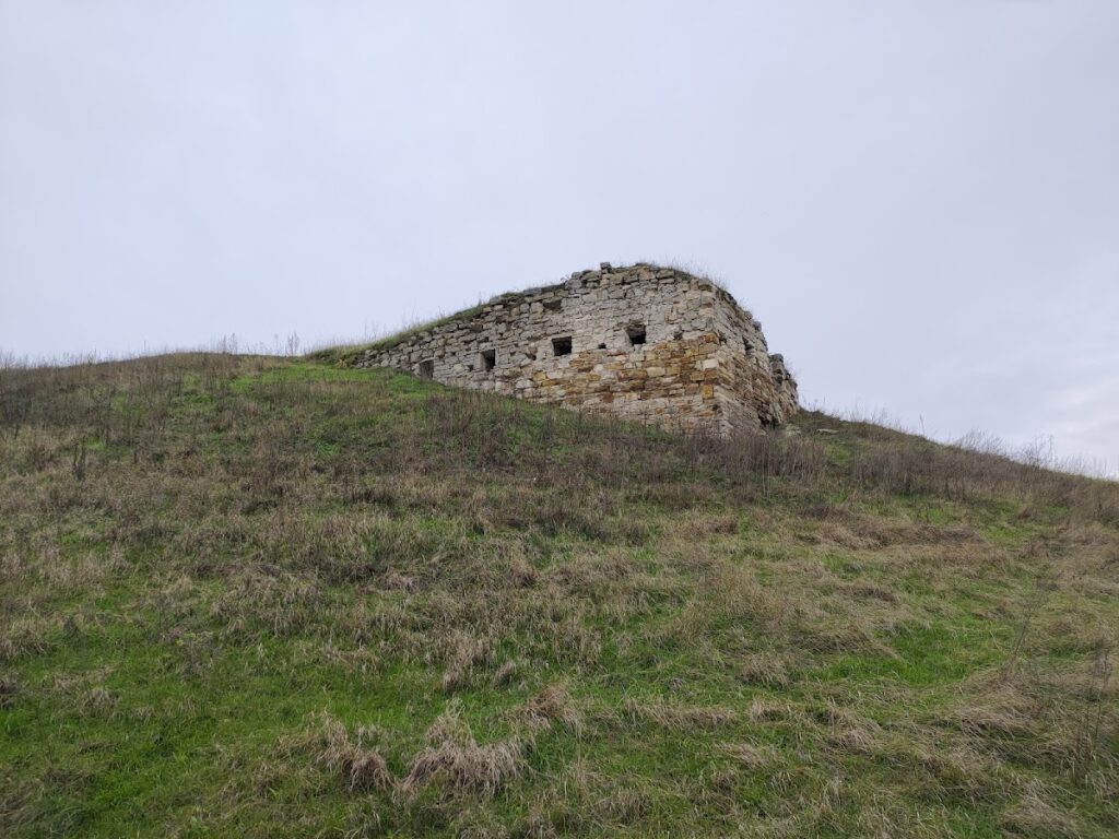 Zamek w Zinkowie