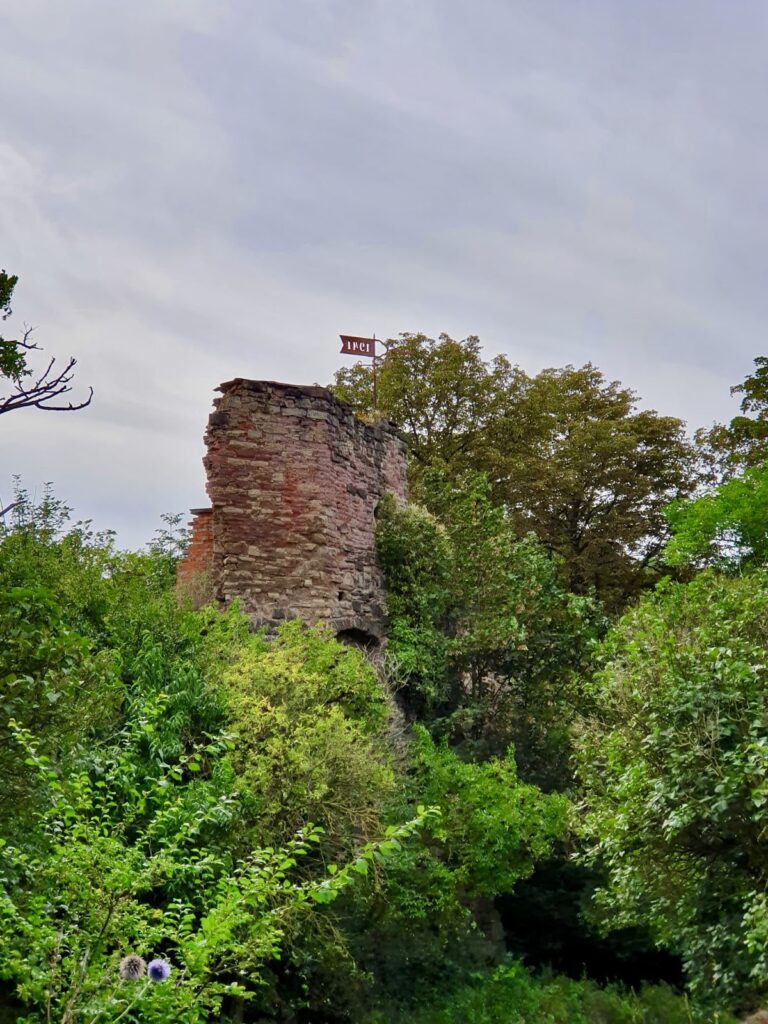 Burg Friedeburg: A Medieval Castle and Palace Complex in Germany 2 Burg Friedeburg