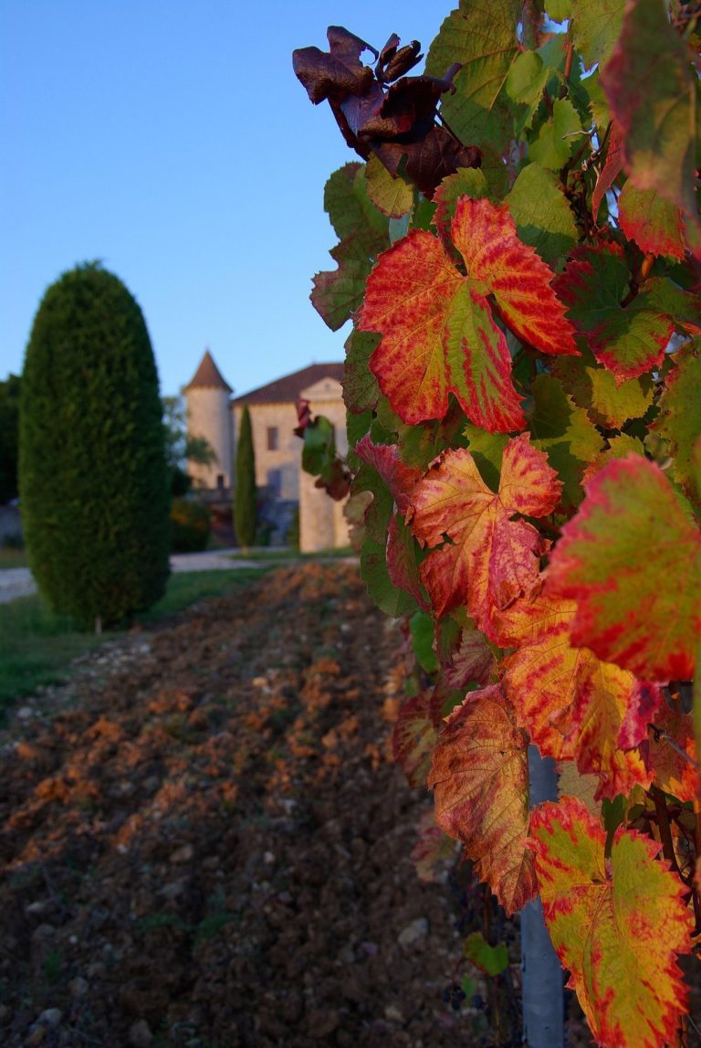 Château de Chambert: A Historic Wine Estate in France
