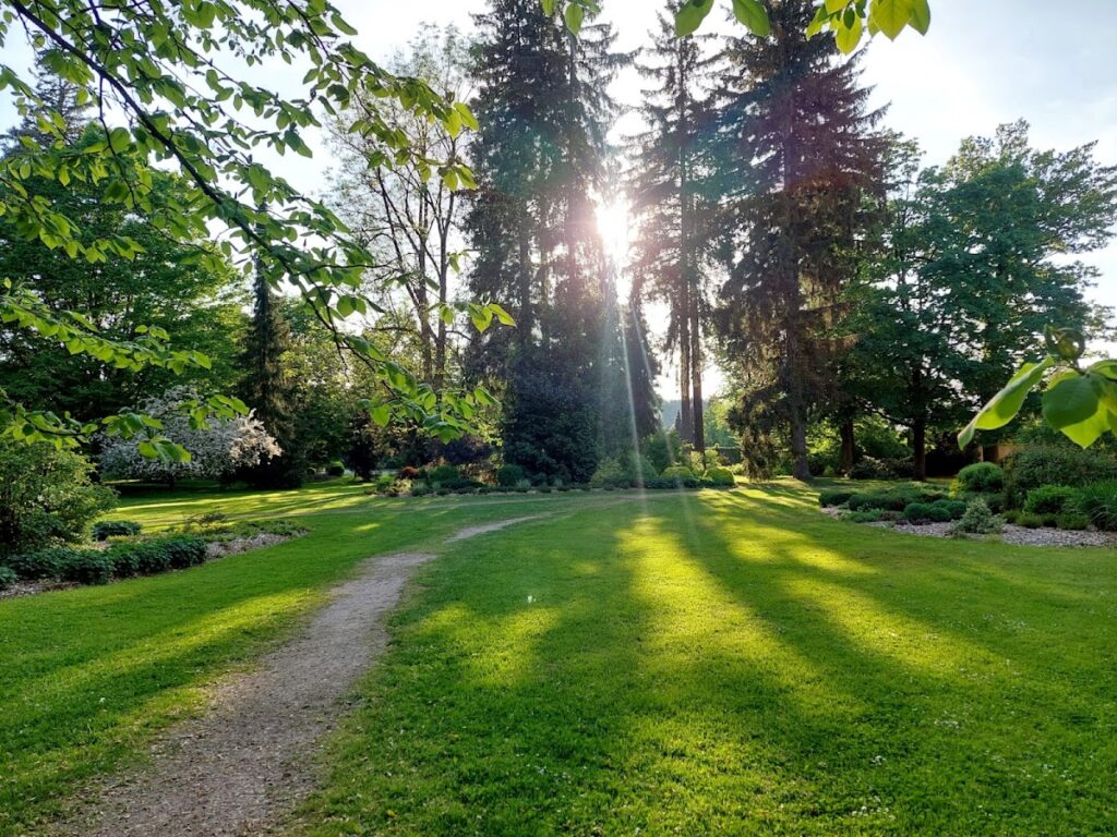 Žamberk Castle: A Renaissance Manor House and Estate Seat in Czechia 5 Žamberk Castle