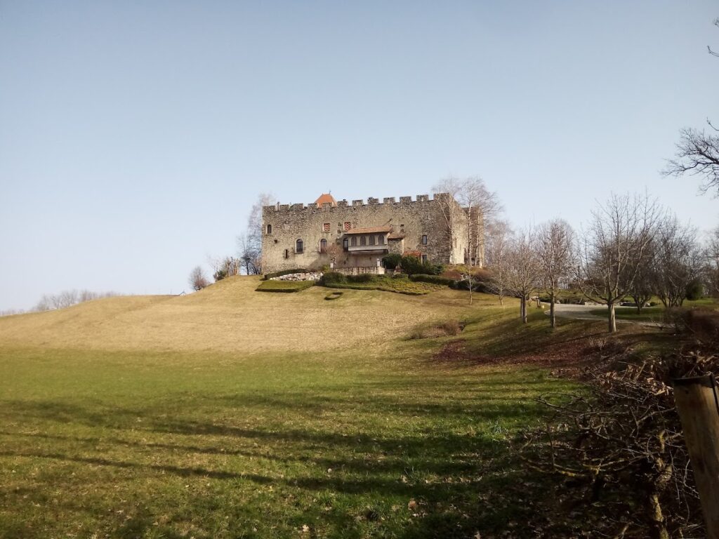 Château de Larringes: A Former Medieval Fortified Residence in France 2 Château de Larringes