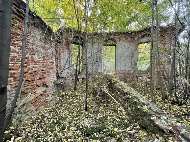Zespół pałacowy w Górze nad Narwią: 18th-century palace and estate near the Narew in Góra, Poland