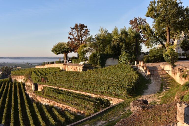 Château Ausone: A Historic Saint-Émilion Wine Estate in France