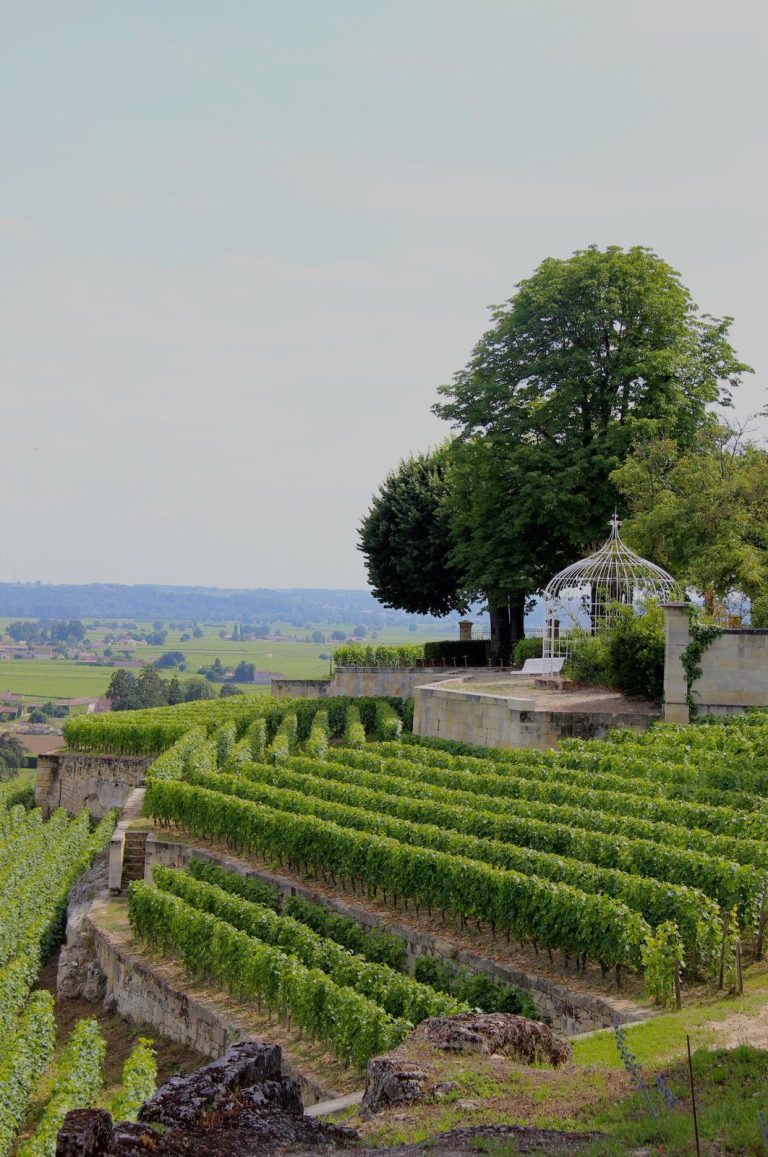 Château Ausone: A Historic Saint-Émilion Wine Estate in France
