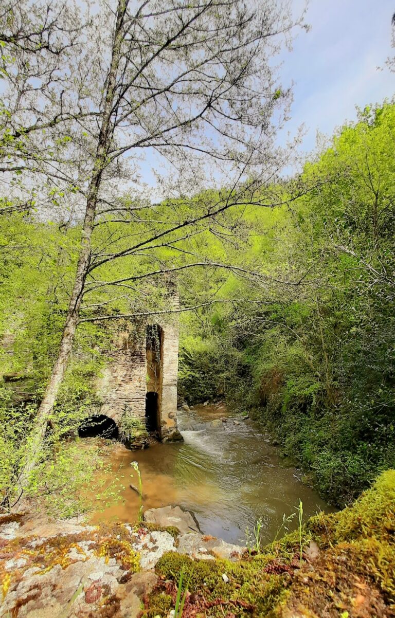 Château de Labastide Vassals: A Ruined Medieval Hamlet in France